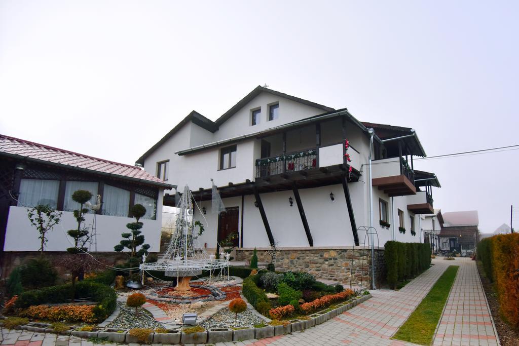 Pensiunea Casa Elena Agnita Ngoại thất bức ảnh